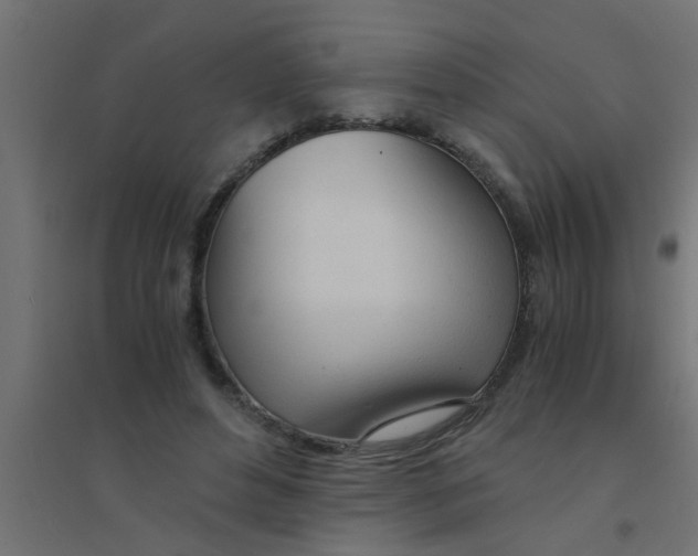 X0000094320496200711241810
