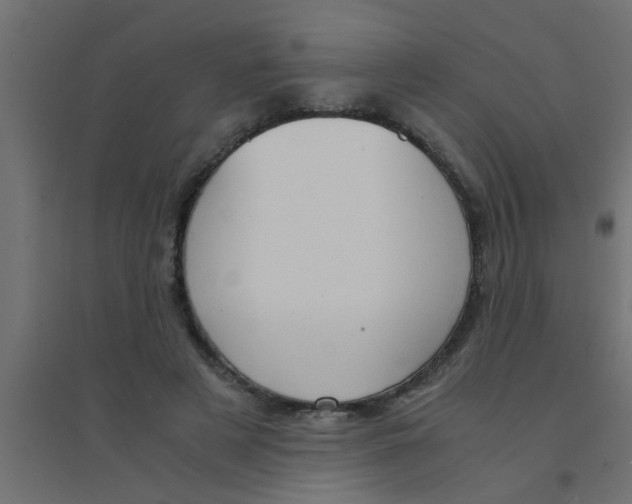 X0000094320497200711241810