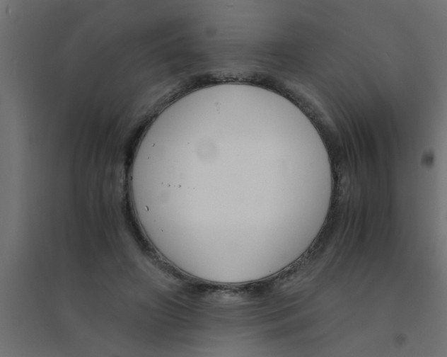 X0000094320498200711241810