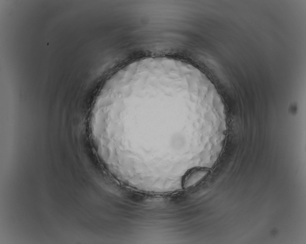 X0000094320499200711241810