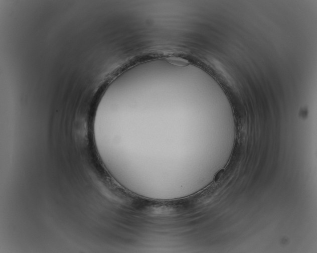 X0000094320500200711241810