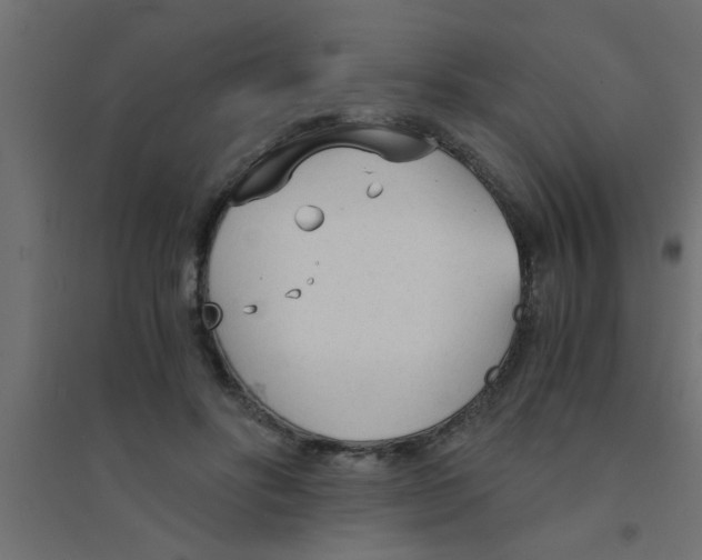 X0000094320502200711241810