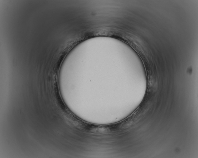 X0000094320503200711241810