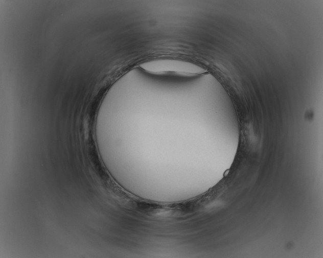 X0000094320504200711241810
