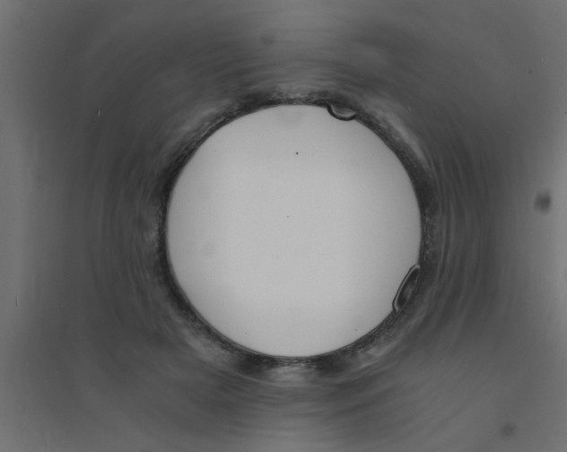X0000094320505200711241810