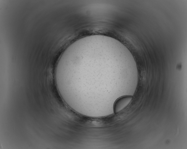 X0000094320506200711241810