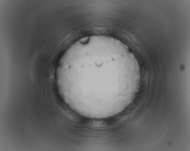 X0000094320507200711241810