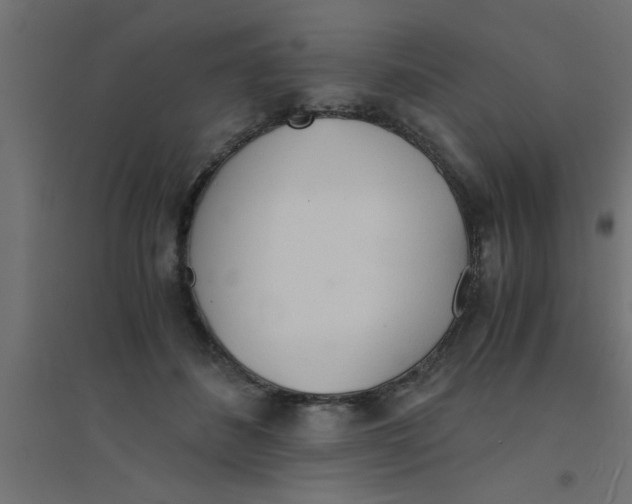 X0000094320508200711241810