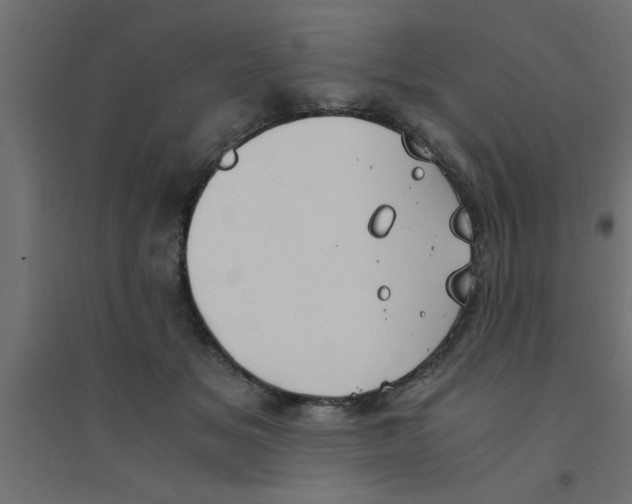 X0000094320509200711241810