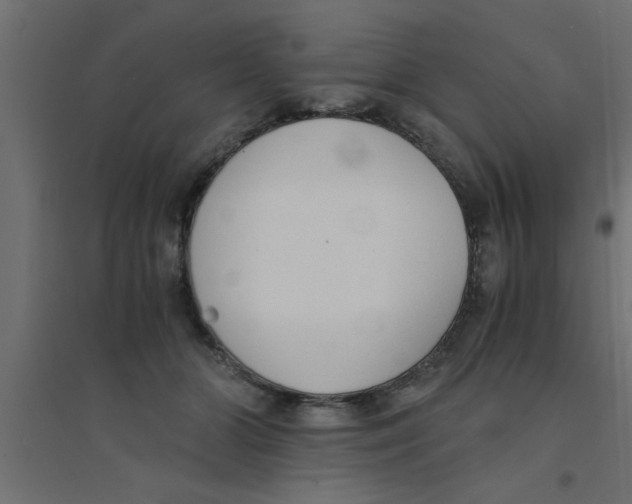 X0000094320510200711241810