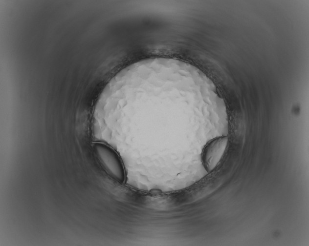 X0000094320511200711241810