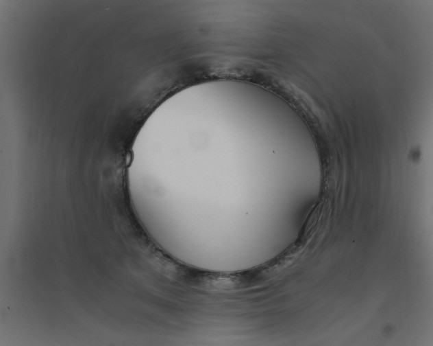 X0000094320513200711241810