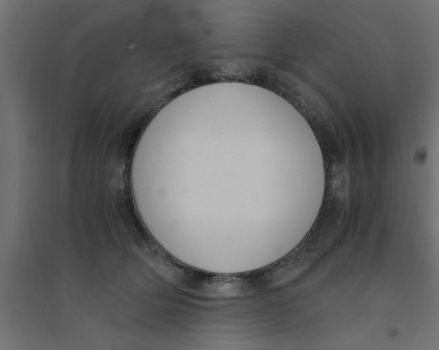 X0000094320514200711241810