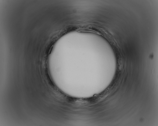 X0000094320515200711241810