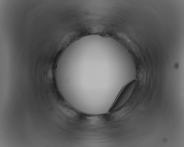 X0000094320516200711241810