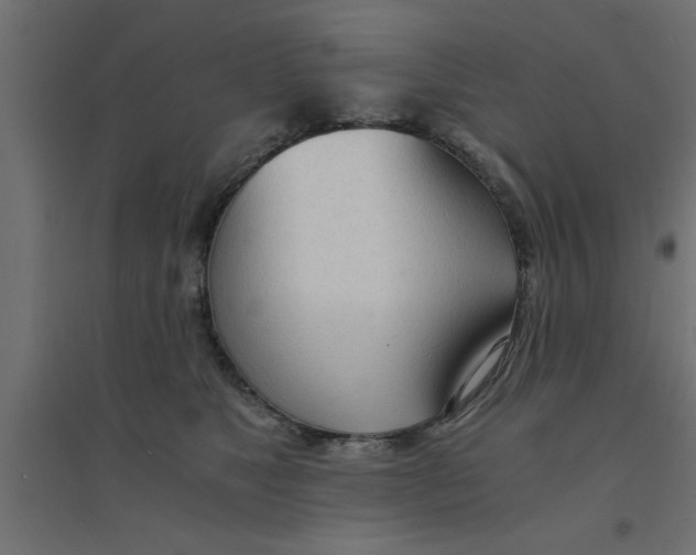 X0000094320517200711241810