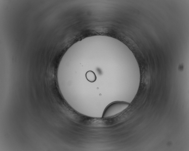 X0000094320518200711241810