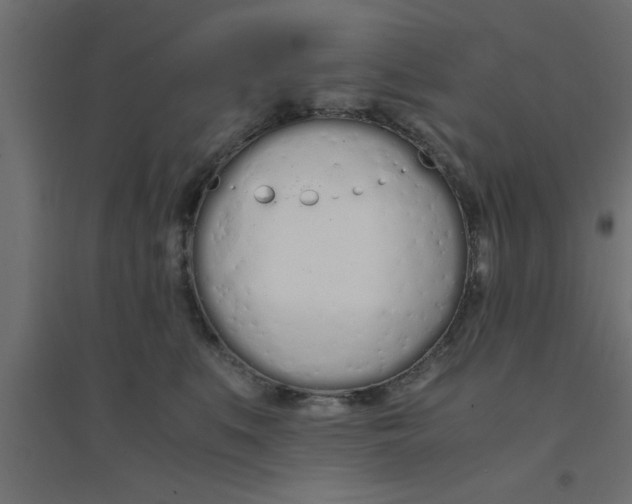 X0000094320519200711241810