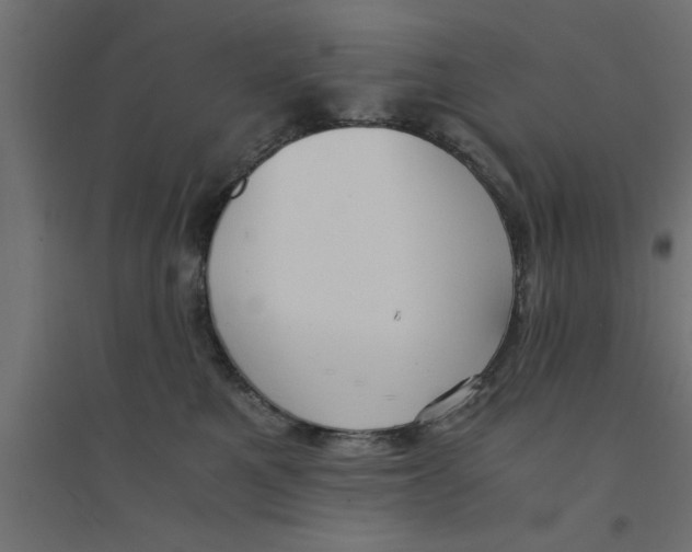 X0000094320521200711241810