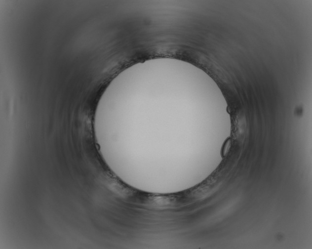 X0000094320522200711241810