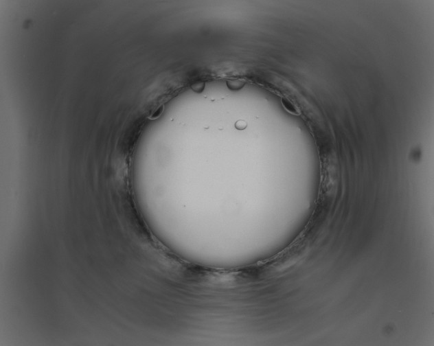 X0000094320523200711241810