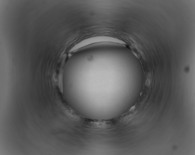 X0000094320524200711241810