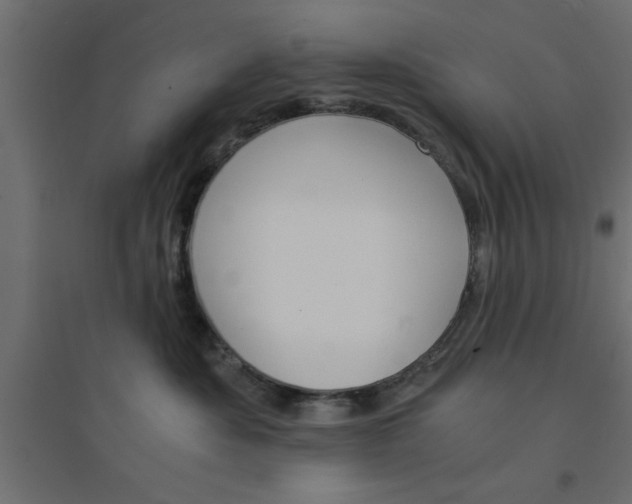 X0000094320525200711241810