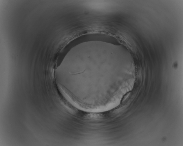 X0000094320526200711241810