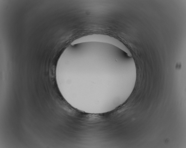 X0000094320528200711241810