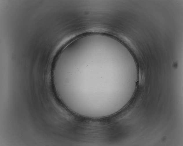 X0000094320531200711241809