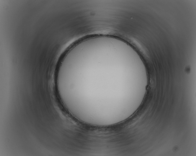 X0000094320532200711241809