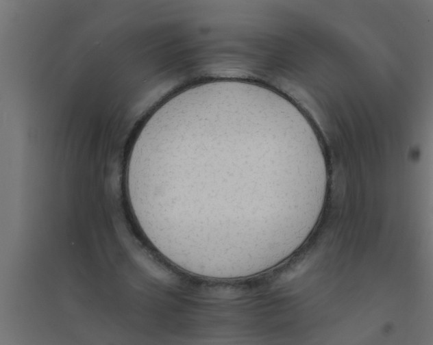 X0000094320533200711241809