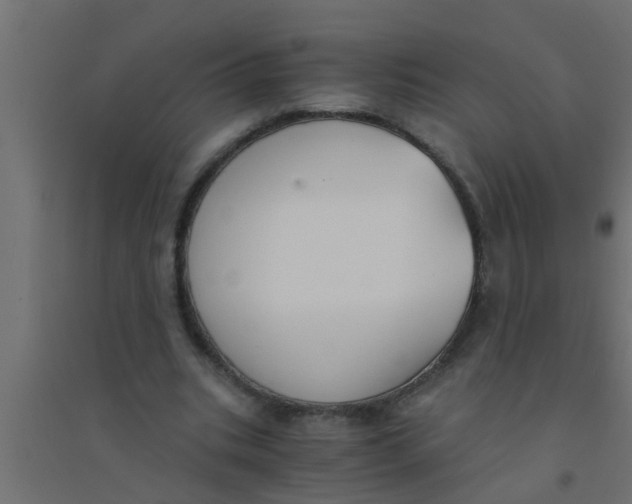 X0000094320535200711241809