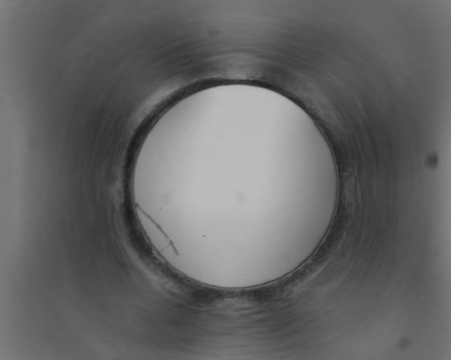 X0000094320536200711241809