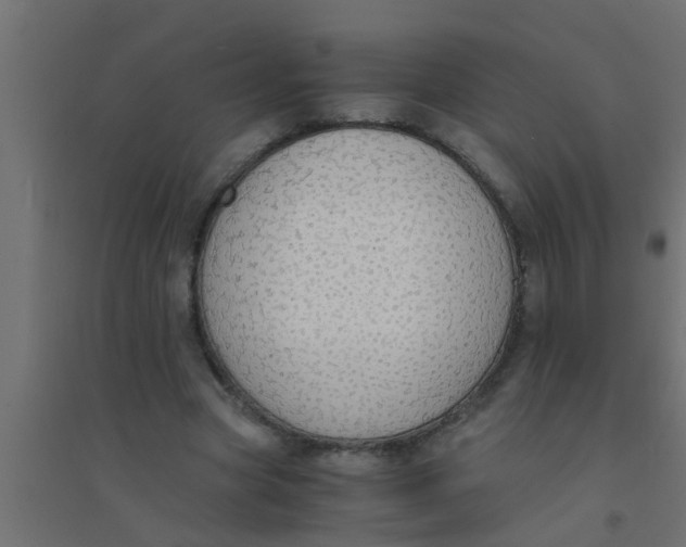 X0000094320537200711241809