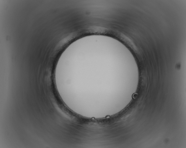 X0000094320538200711241809