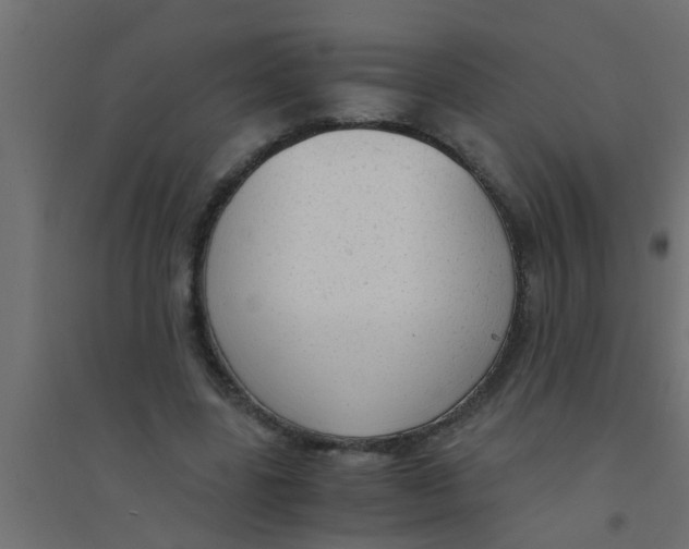 X0000094320539200711241809