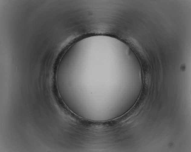 X0000094320540200711241809