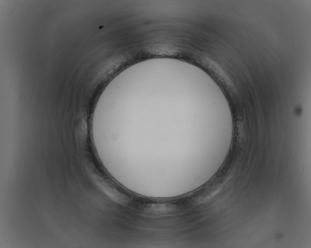 X0000094320541200711241809