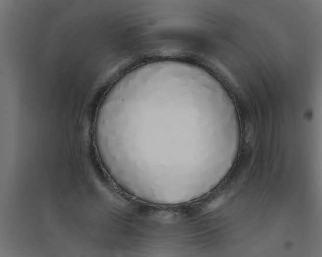 X0000094320542200711241809