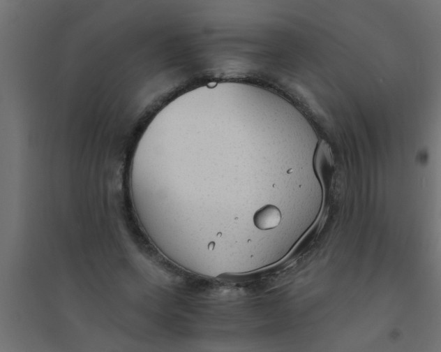 X0000094320543200711241809