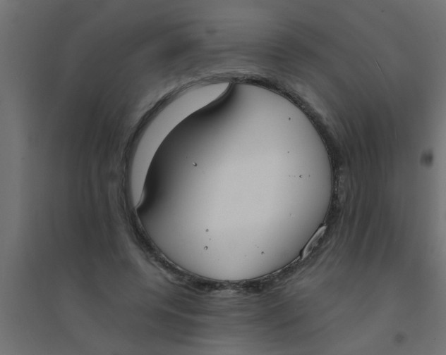 X0000094320544200711241809