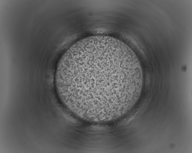 X0000094320545200711241809