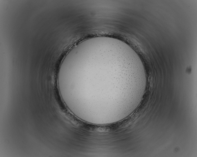 X0000094320546200711241809