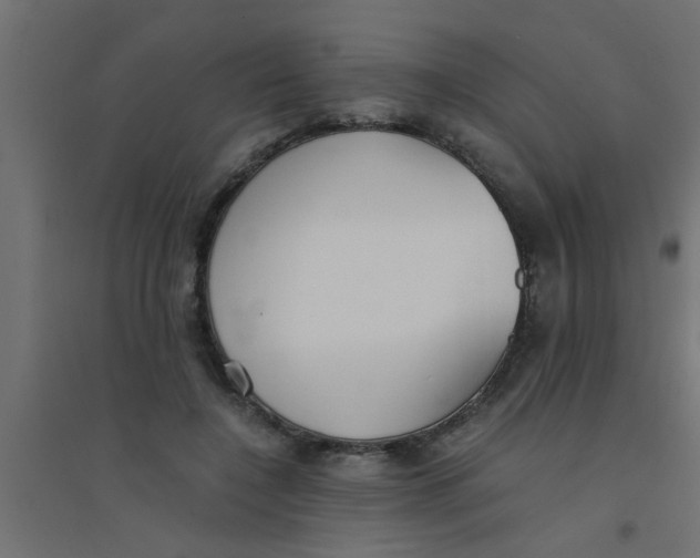 X0000094320548200711241809