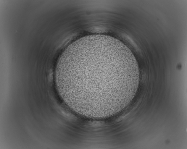 X0000094320549200711241809