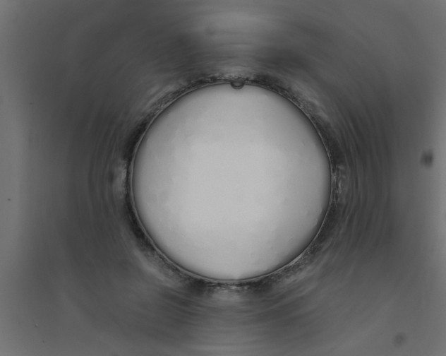 X0000094320550200711241809