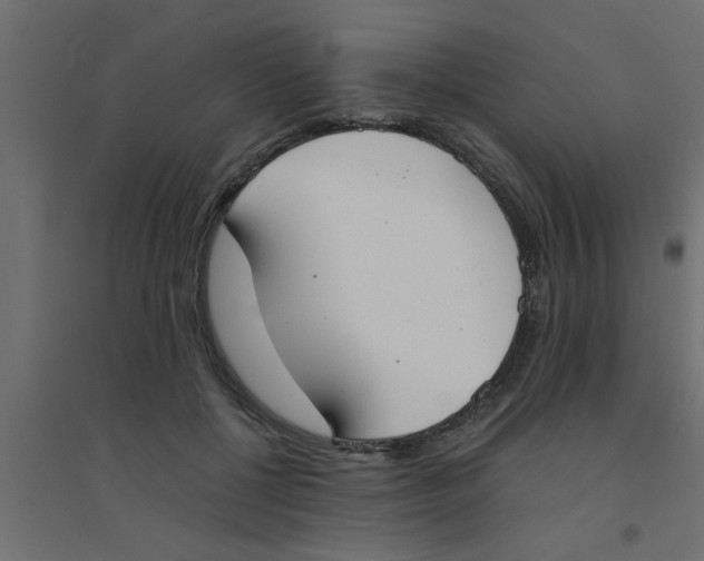X0000094320552200711241809