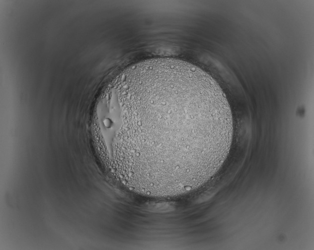 X0000094320553200711241809