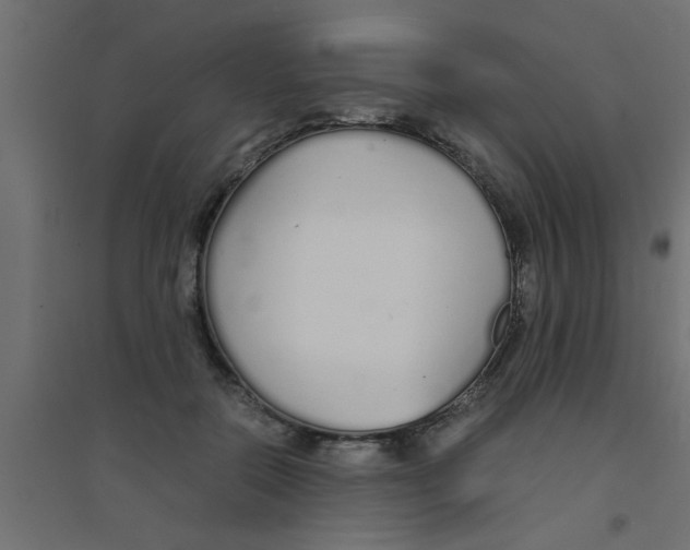 X0000094320554200711241809